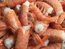 Seafood of the Week